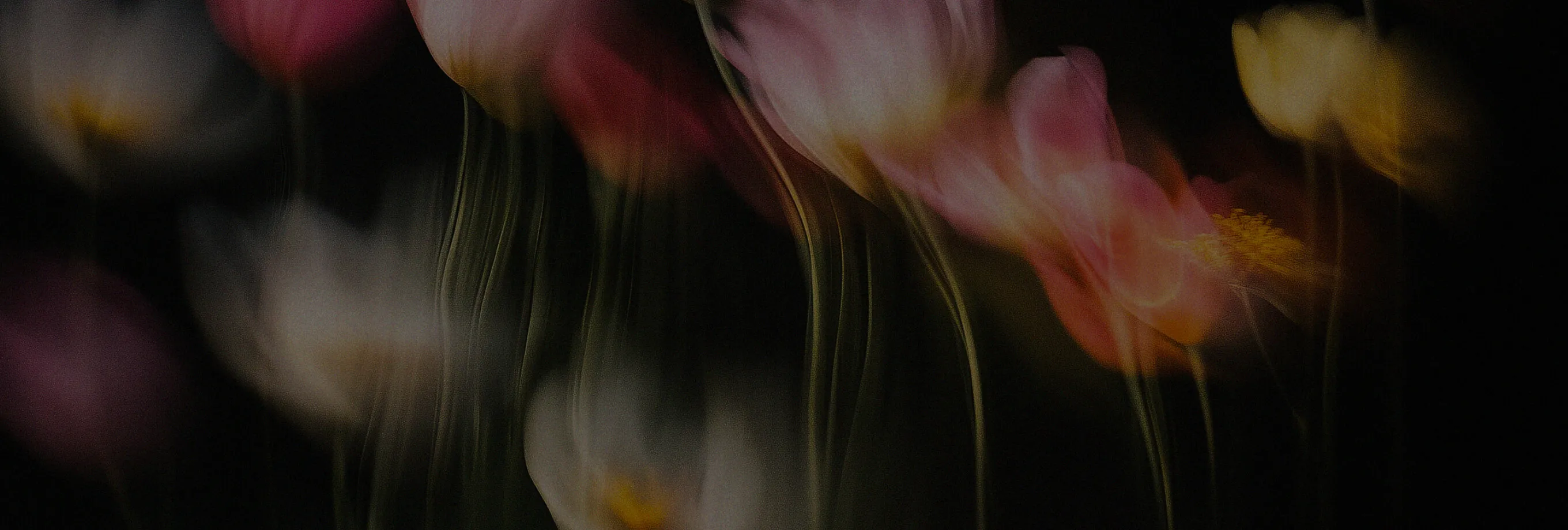 value_02